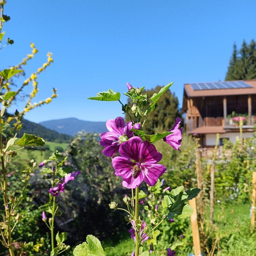 Tiny House Am Steinergut Hotel Radstadt Exterior foto
