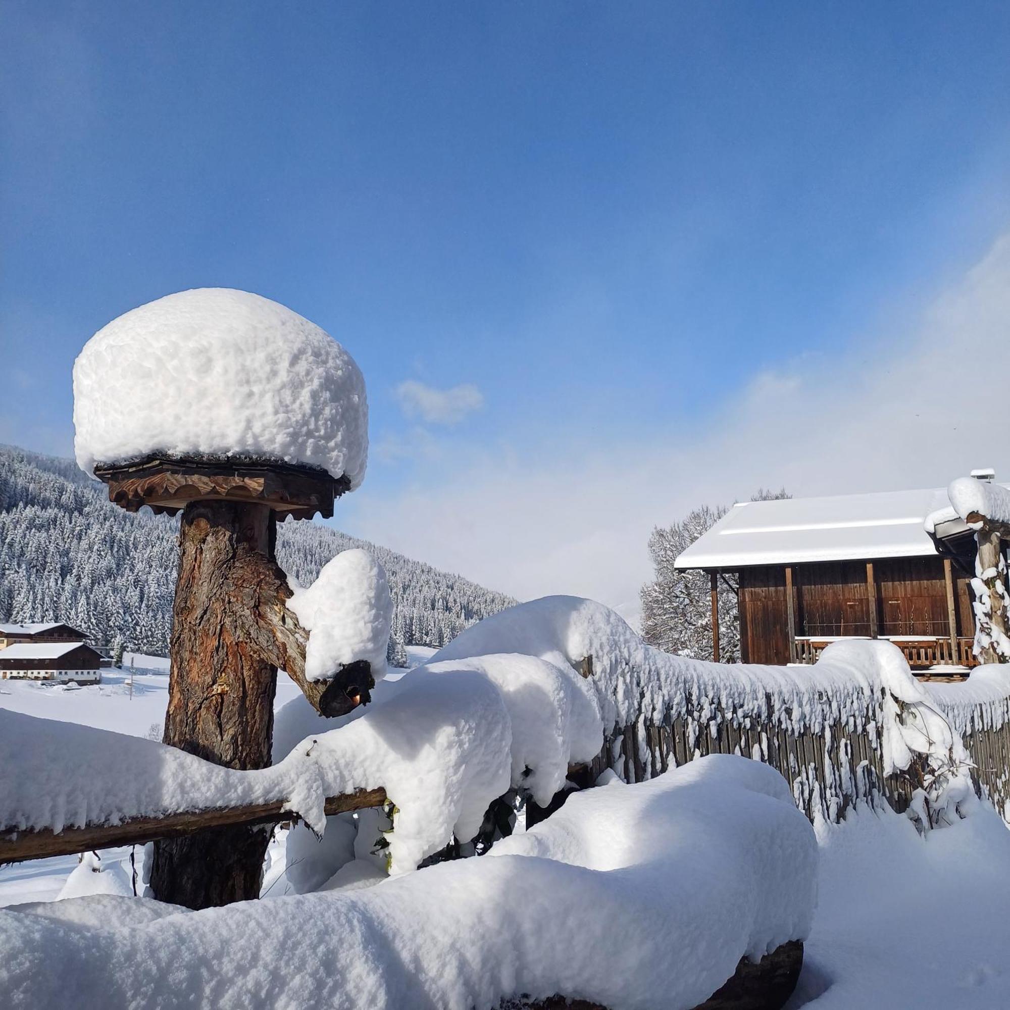 Tiny House Am Steinergut Hotel Radstadt Exterior foto